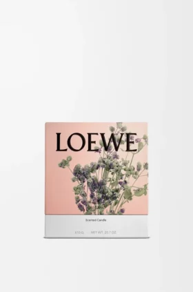 Mittlere Oregano-Kerze