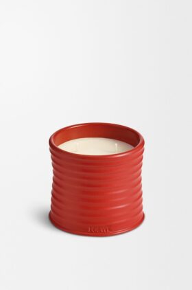 Mittlere Tomatenblätter-Kerze