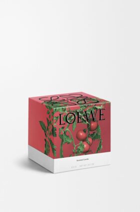 Mittlere Tomatenblätter-Kerze
