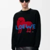 Pullover aus Baumwolle und Seide