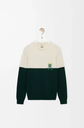 Pullover aus Wolle