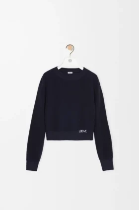 Pullover aus Wolle