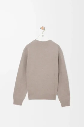 Pullover aus Wolle