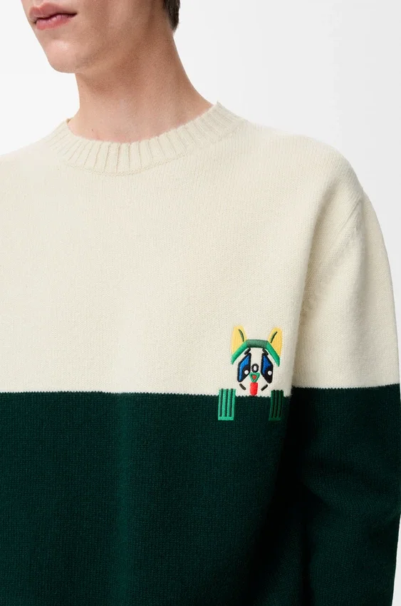 Pullover aus Wolle Pullover aus Wolle