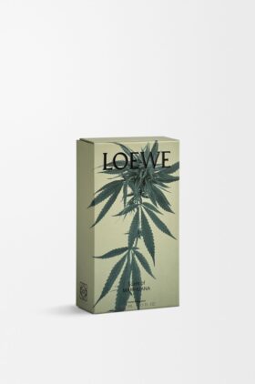 Raumspray mit Scent of Marihuana