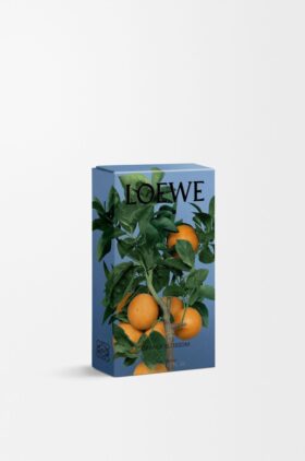 Raumspray «Orangenblüte»