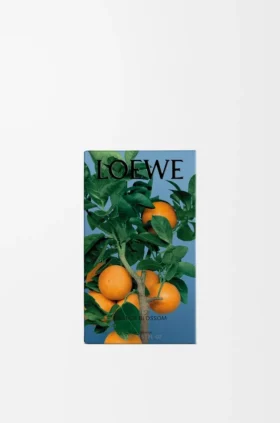 Raumspray «Orangenblüte»