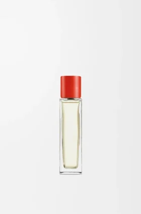 Raumspray «Tomatenblätter»