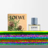 Raumspray «Zypressenzapfen» Raumspray «Zypressenzapfen»